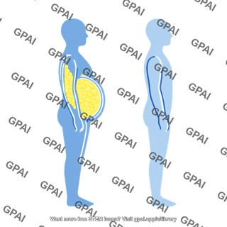 Person symbol lateral visceral adipose tissue