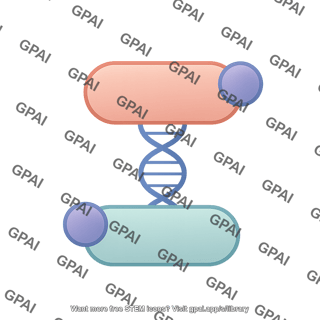 Munc13 pathway 447