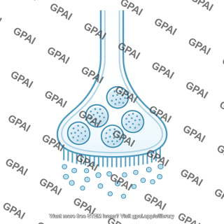 Pre synaptic membrane brush vesicle 3
