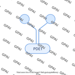 Phosphodiesterase 1 pde1 pathway 524