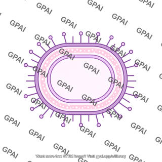 Bacteria membrane brush gram negative coccus