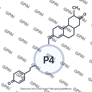 Progesterone 2 pathway 511