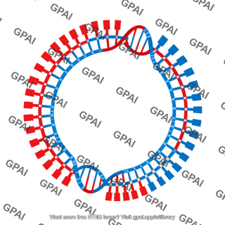 Unwound dsdna brush circular