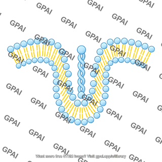 Generic phospholipid brush bilayer preset 01