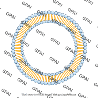 Membrane brush large circle