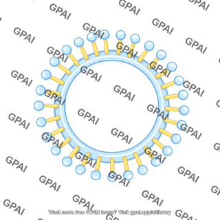 Membrane brush vesicle shape 10