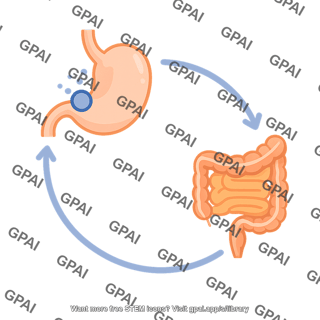 Motilin pathway 632