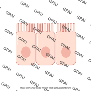 Enterocyte brush preset