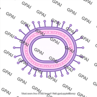Bacteria membrane brush gram positive coccus