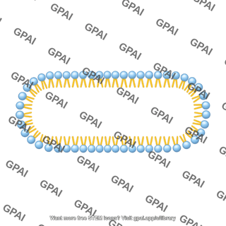 Membrane brush rounded rectangle