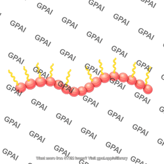 Actin dimer brush wavy 2