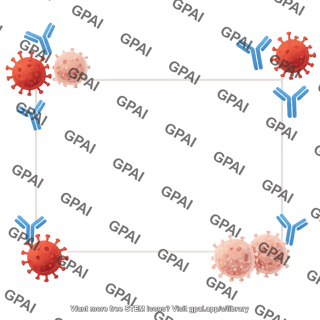 Immunology frame