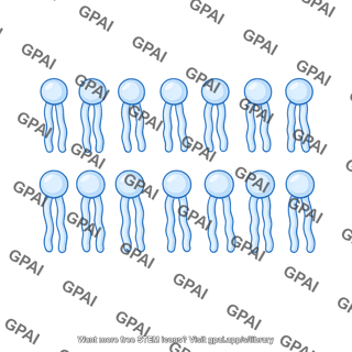 Phospholipid 2 brush preset 106
