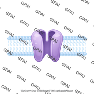 Ion channel in membrane brush simple preset