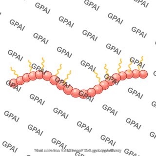 Actin dimer brush filament wavy 3