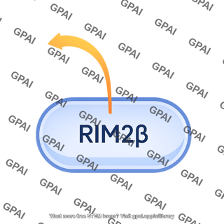 Rim2b pathway 50