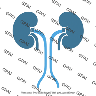 Kidneys