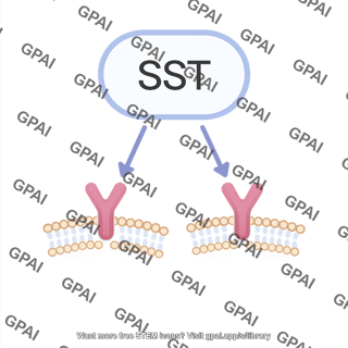 Somatostatin pathway 898