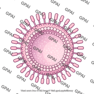 29 bacterial outer membrane brush vesicle 1 584