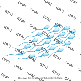 Sperm cluster brush wavy