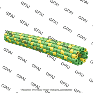 Microtubule brush straight