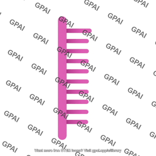 Rna brush straight