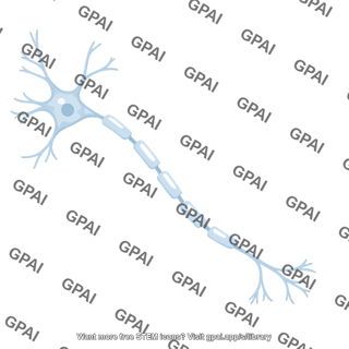 Cell process brush preset 29