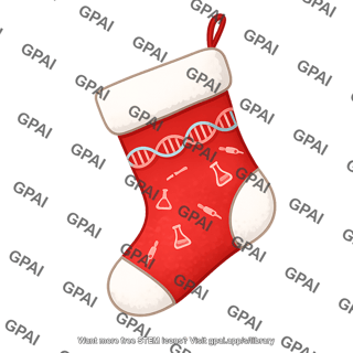 Stocking 1