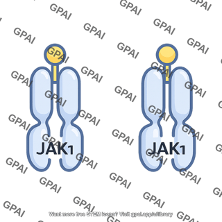 Jak1 pathway 662