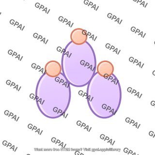 Heat shock protein