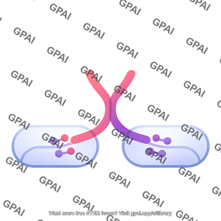 Rim bp pathway 498