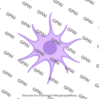 Dendritic cell 1