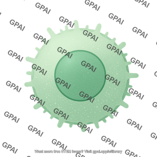 T cell 01
