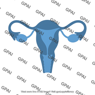 Uterus