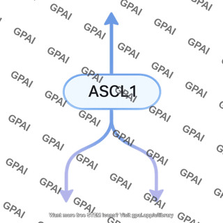 Ascl1 pathway 475