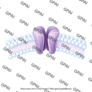 Ion channel in membrane brush simple wavy