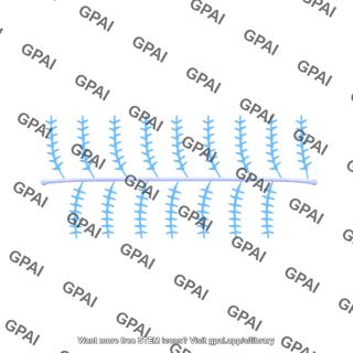 Proteoglycan brush straight