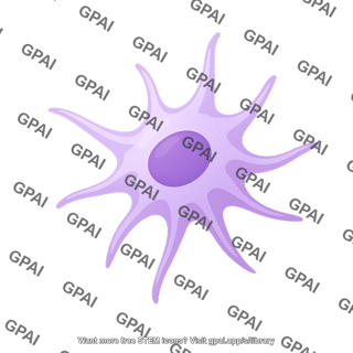 Dendritic cell 3d
