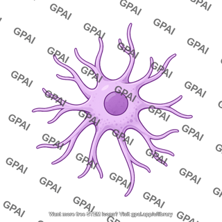 Dendritic cell 2