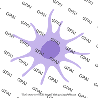 Dendritic cell 1 01