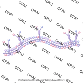 Peptidoglycan brush wavy