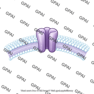 Ion channel in membrane brush small arc