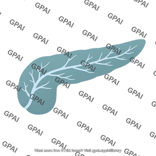 Pancreas 01