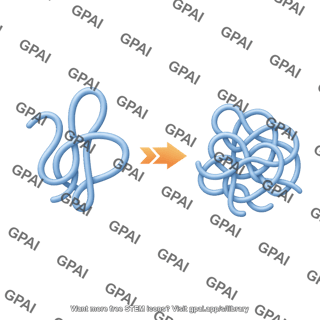 Protein denaturation 2