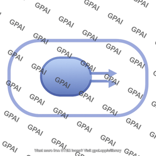 Bcl1 pathway 787