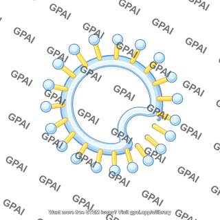 Membrane brush vesicle shape 11