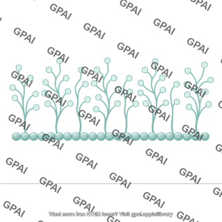 Polysaccharide brush straight
