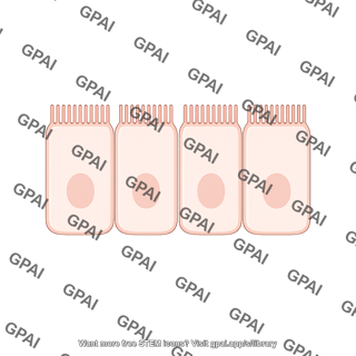 Enterocyte brush no villi preset