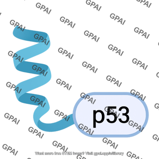 P53 pathway 829