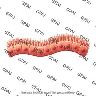 Retinal pigment epithelial cell brush wavy 2